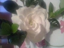 Theresa Reinert - Class of 1969 - White Bear High School