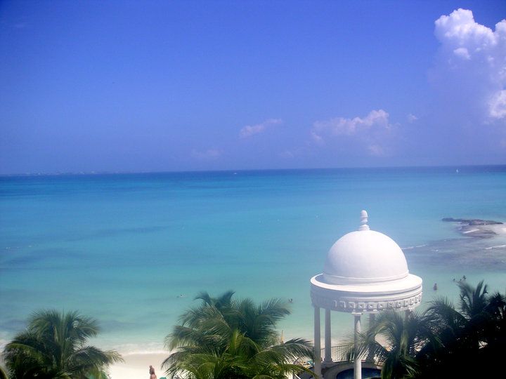 Tanya Demichele - Class of 1993 - Monte Vista High School