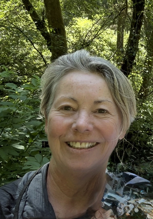 Karen Delaney - Class of 1976 - American High School