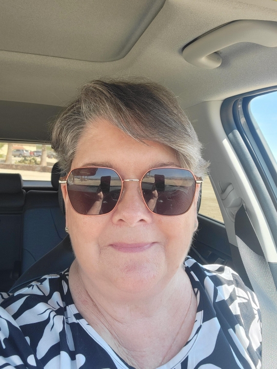 Debbie Dillon - Class of 1974 - Abraham Lincoln High School