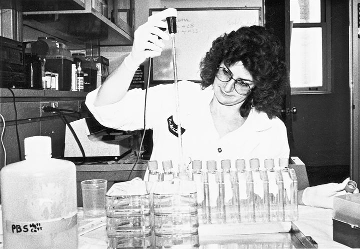 Reeny Balestra - Class of 1976 - Abraham Lincoln High School