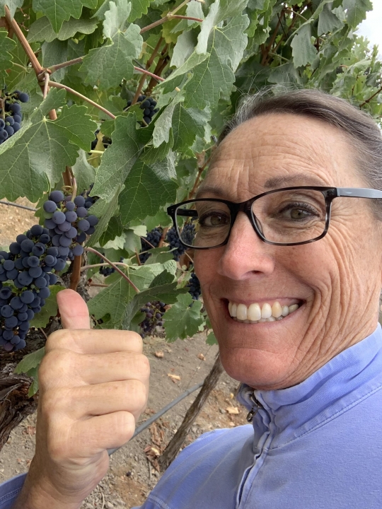 Barbara Franza - Class of 1979 - Westmont High School