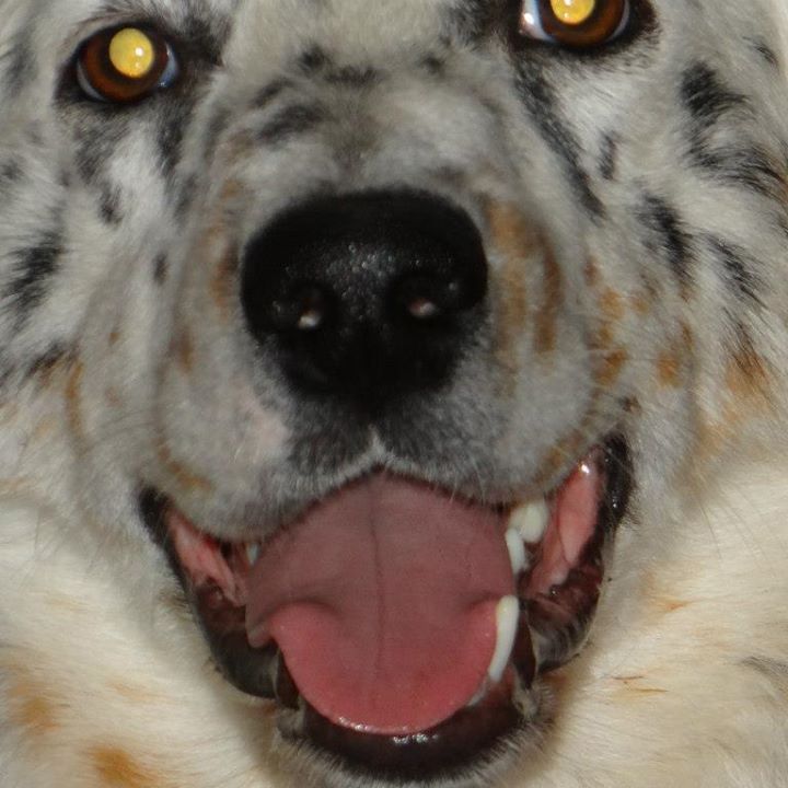 Lori Mcclelland - Class of 1978 - Calaveras High School