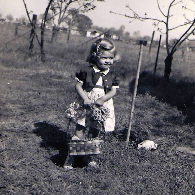 Terry Ostermann - Class of 1968 - Highlands High School