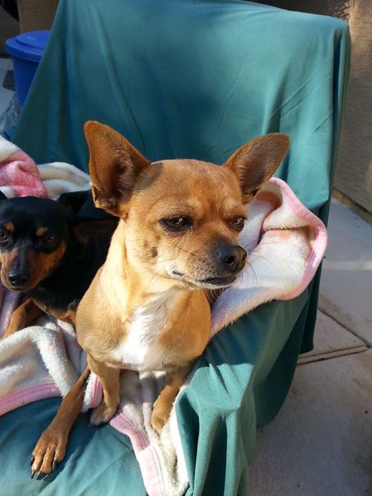 Gulianna Marquez - Class of 1995 - Alisal High School