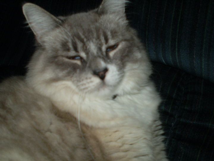 Judy Cejas - Class of 1980 - Alisal High School