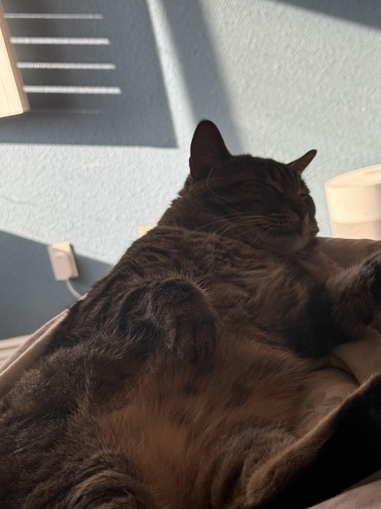 Eric Nguyen - Class of 2015 - College Park High School