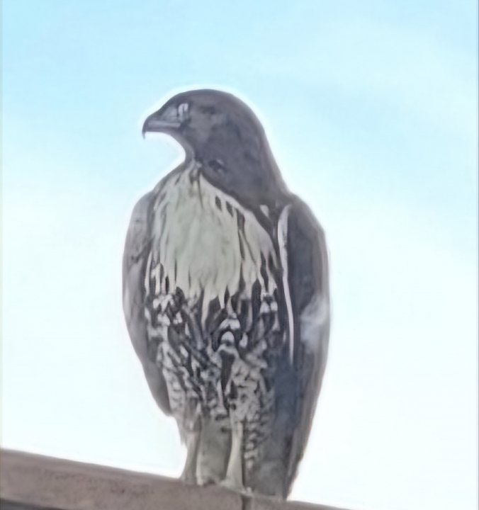 Jerome Mayes - Class of 1977 - Grossmont High School