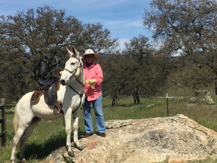 Melody Lane O'driscoll - Class of 1974 - San Dieguito High School