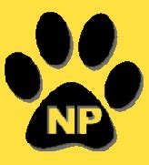 Newbury Park Class of 1995 Reunion