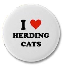 Cat Herder - Class of 1991 - Fairfield High School