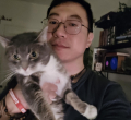 Kris Takahashi
