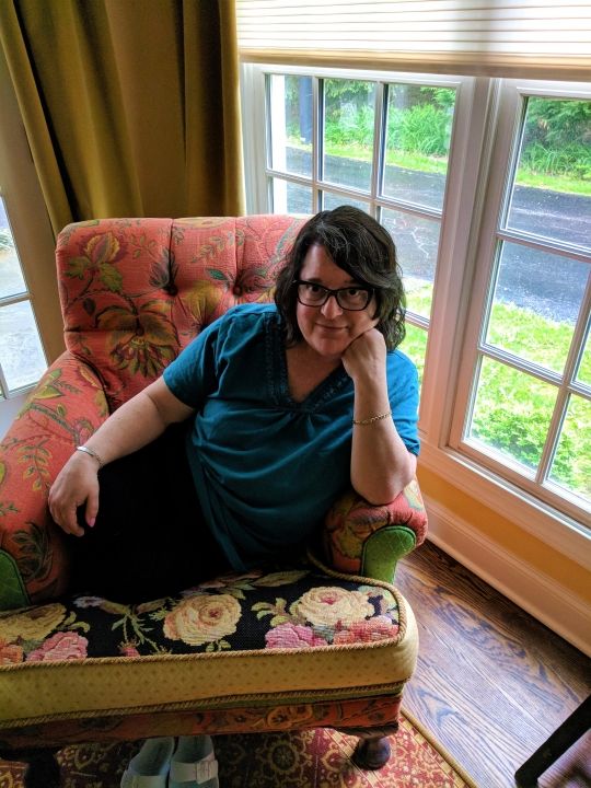 Amy Brenner - Class of 1974 - Harrisburg High School