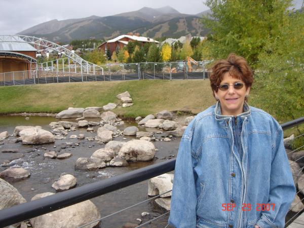 Cindy Ulrich - Class of 1973 - Stevenson High School