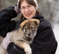 Maureen English
