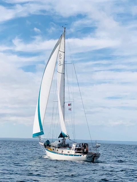 George Hoffschildt - Class of 1975 - Leigh High School