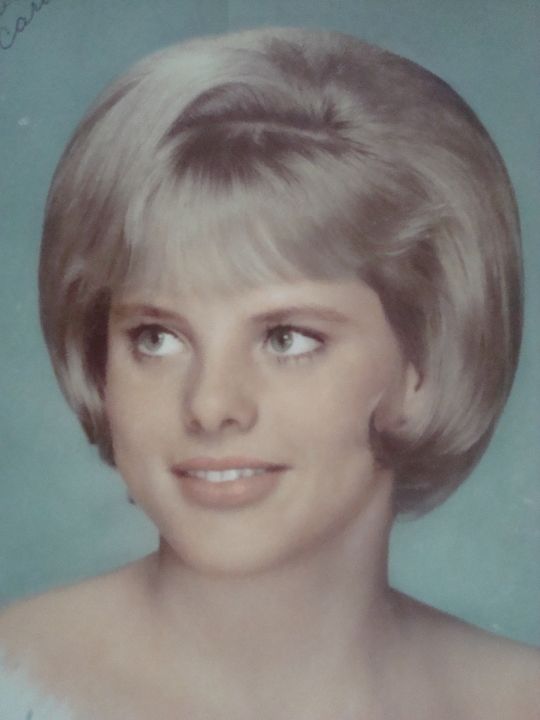 Carolyn Ferguson - Class of 1967 - Novato High School