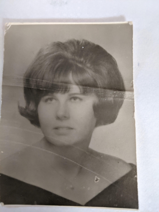 Michelle Fisher - Class of 1968 - Novato High School