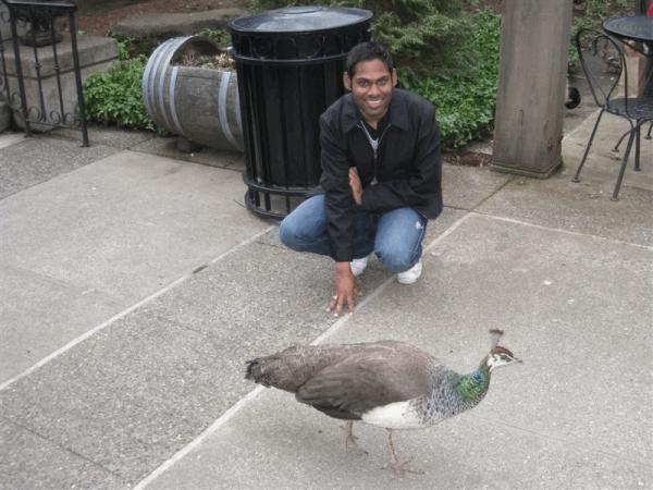 Kamal Vikus - Class of 1999 - Auburn Riverside High School
