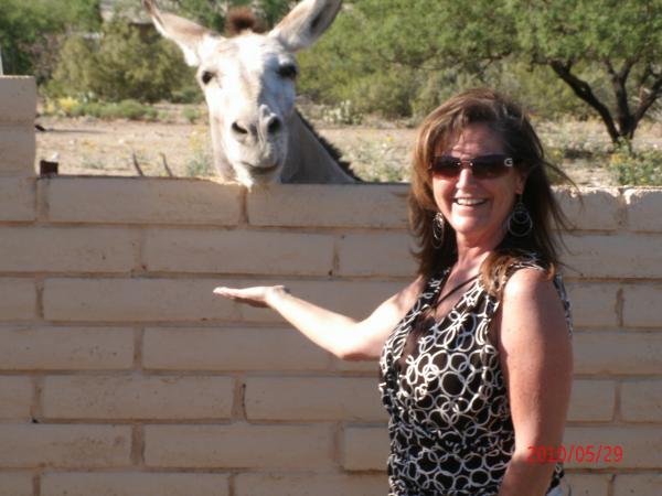 Marcy Belcher - Class of 1976 - Fremont Ross High School