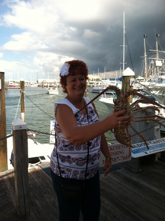 Cathy Rebhan - Class of 1978 - Melbourne High School