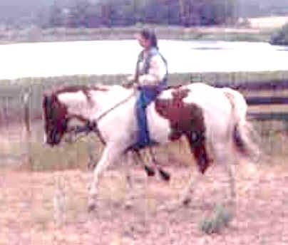 Page Lynn Adams - Class of 1985 - Rio Linda High School