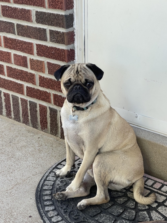 Chad Storie - Class of 1994 - Kickapoo High School