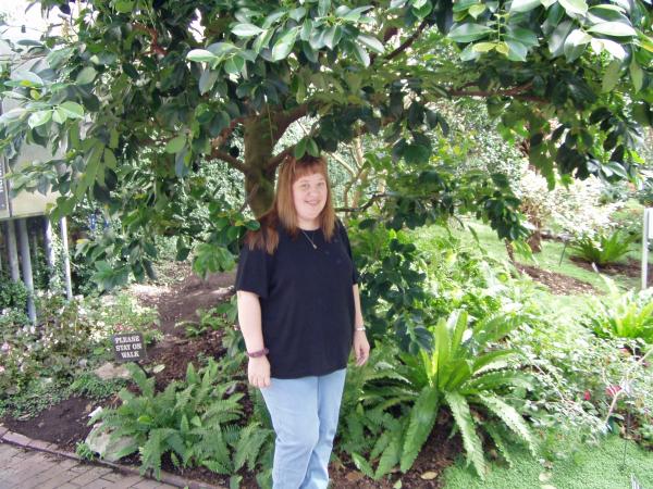 Patricia Terwilliger - Class of 1984 - Pattonville High School