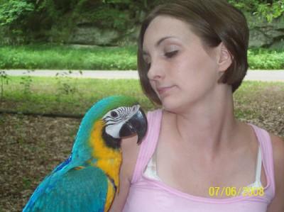Tiffani Brilliott - Class of 2003 - Baraboo High School