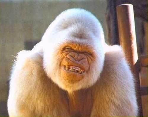 Greg Cochran - Class of 1974 - Moses Lake High School