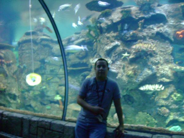 Raul Valenzuela - Class of 1998 - Douglas High School