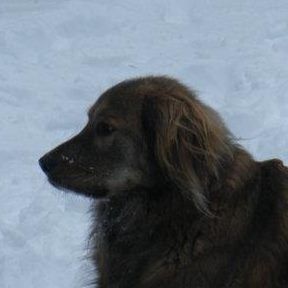 Larry Burtness - Faculty - Port Angeles High School