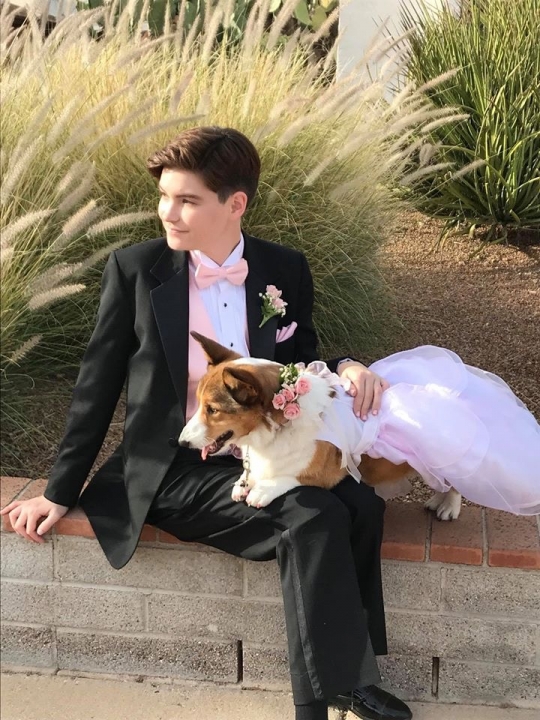 Rory Cook - Class of 2018 - Rincon High School