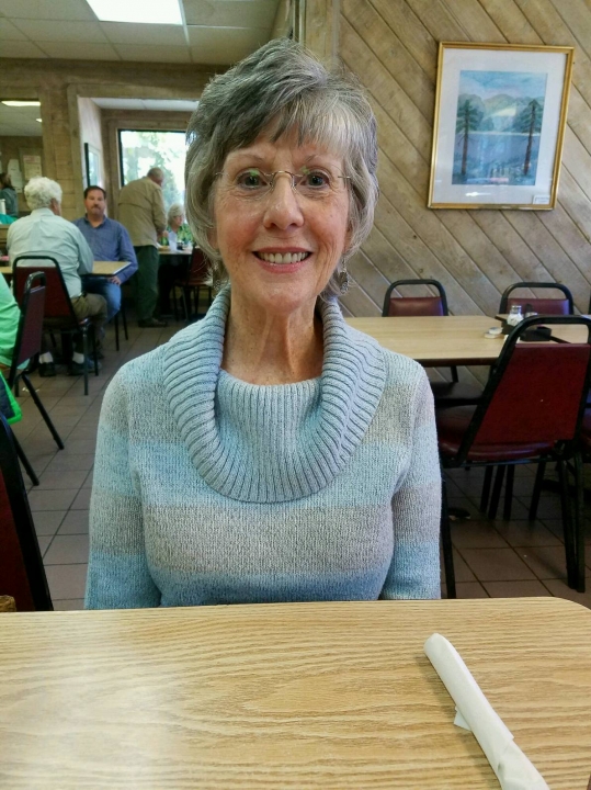 Dianne Lowe - Class of 1963 - Hewitt-trussville High School
