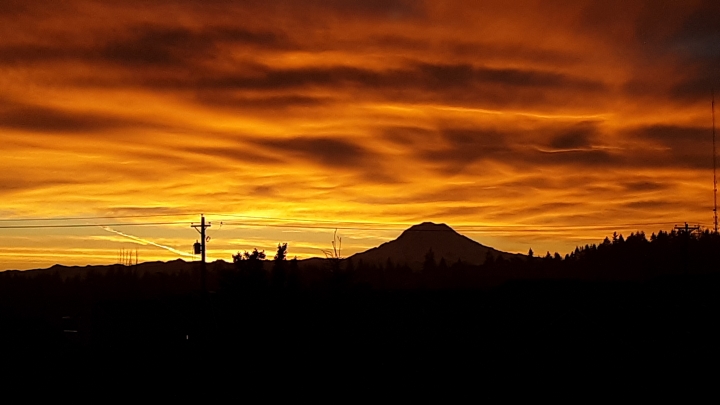 Irene Conklin - Class of 1964 - Stadium High School