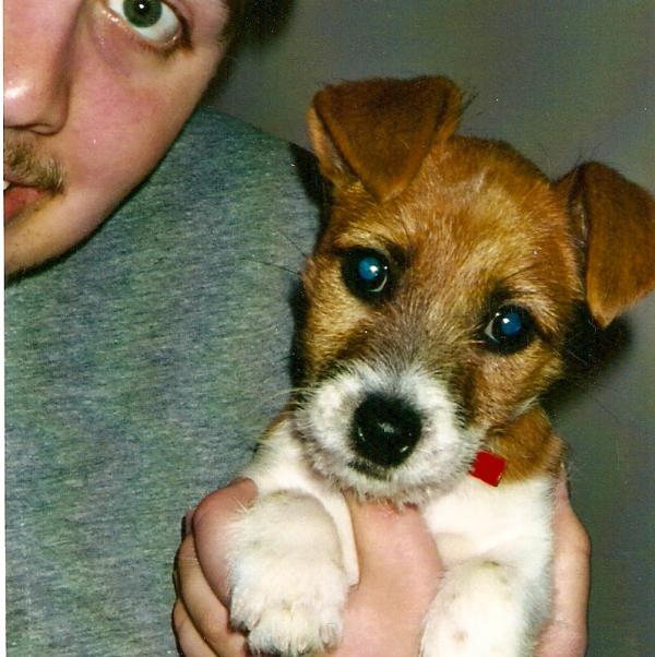 Matt Riemermsa - Class of 1999 - Hamilton High School