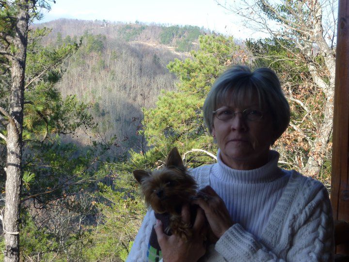 Patricia Pittman - Class of 1964 - Mt. Clemens High School