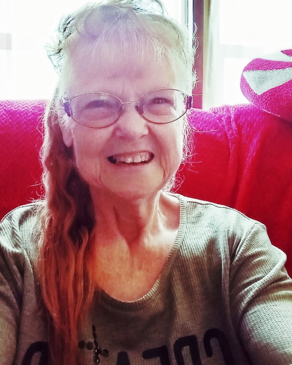 Patricia-Hubbard Fox - Class of 1972 - Big Rapids High School