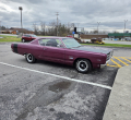 Scott Neely