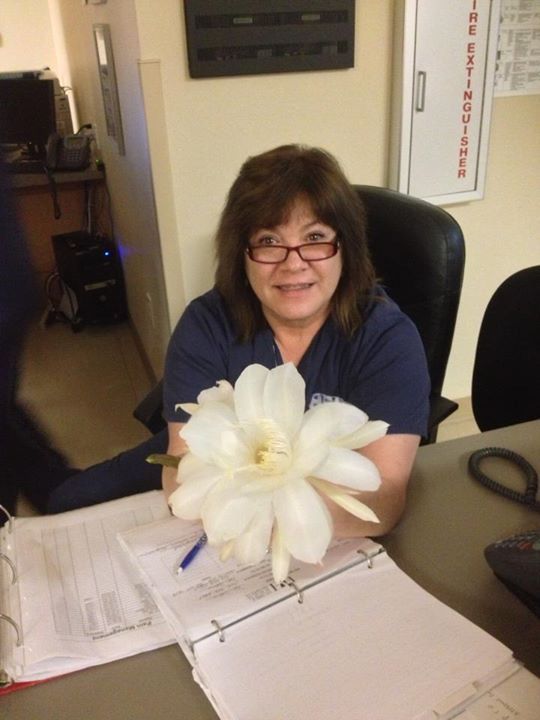 Connie Lehnen - Class of 1976 - Mascoutah High School