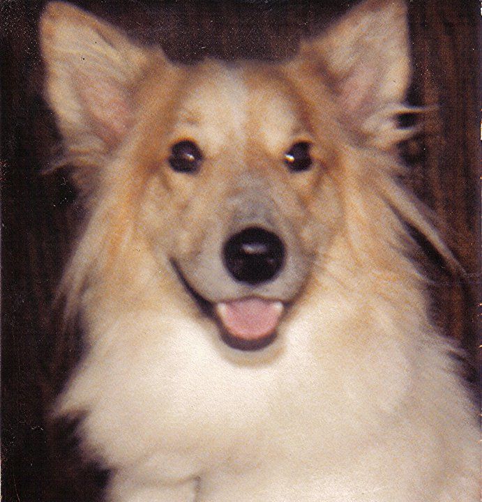 Joan Doglover - Class of 1976 - Johnsburg High School