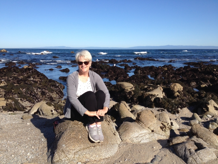 Carol Boeddiker - Class of 1976 - Menlo-atherton High School