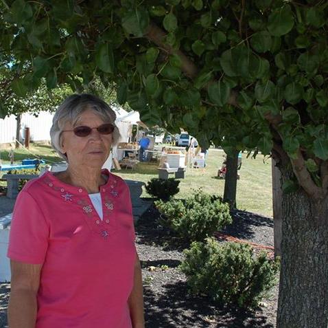 Barb Urton - Class of 1966 - Wilmington High School