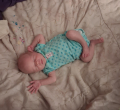 Dylan J Seifert J
