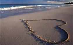 Caroline Olson - Class of 1981 - Cupertino High School