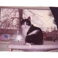 Desiree Ward - Class of 1988 - Massena Central High School
