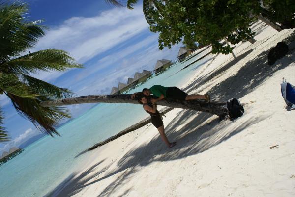 Kathleen (Katie) Mercadante - Class of 1989 - Harborfields High School