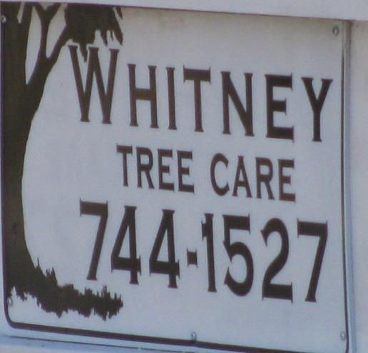 David Whitney - Class of 1982 - Miller Place High School
