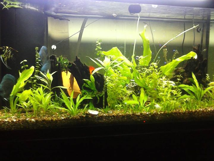 Shawn Jensen - Class of 1993 - West Fargo High School