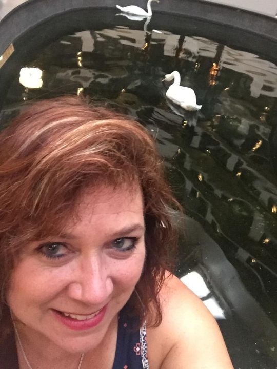Dawn Vosika - Class of 1978 - Capital High School